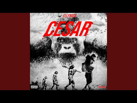 GOAT FREESTYLE