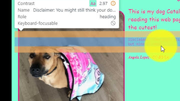 Chapter 1- Lesson 1: Exploring Web Pages