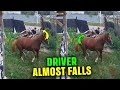 Driver Nearly Thrown As Horse Cart Slams Gate 