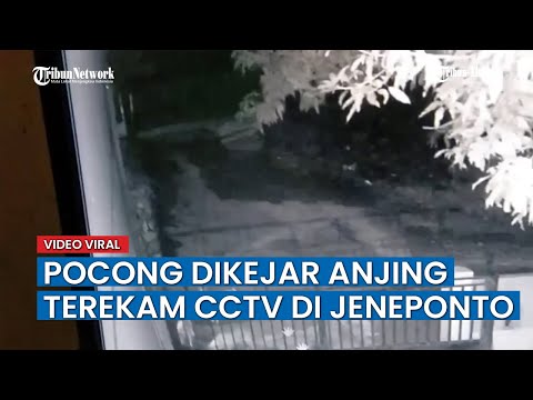 Viral di Sosmed, Pocong Terekam Kamera CCTV di Jeneponto Dikejar Anjing