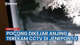 Viral di Sosmed, Pocong Terekam Kamera CCTV di Jeneponto Dikejar Anjing