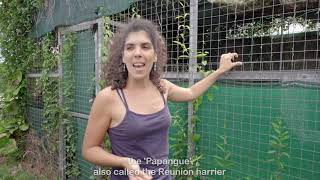 Birds In Peril Doentary