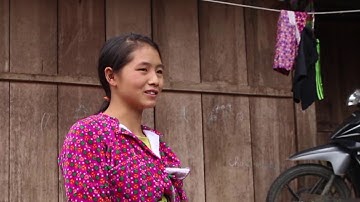 NHẬT KÍ SĂN LÙNG CHÓ MÔNG CỘC ĐUÔI - CHÓ SĂN BẢN MÔNG NGUYÊN CHẤT HOANG DÃ (Việt Nam Chó bản địa)