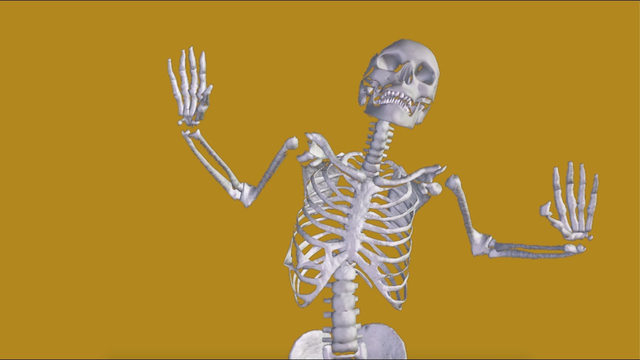 Pushpin - Folds [Music Video]