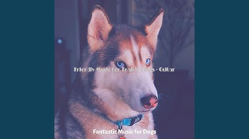Pulsating Jazz Guitar Trio - Vibe for Lonely Doggies