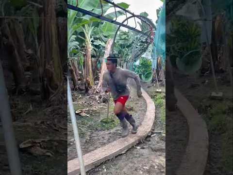 ابتكار مذهل في نقل الموز باستخدام جسر حديدي فكرة مبتكرة وسهلة التنفيذ