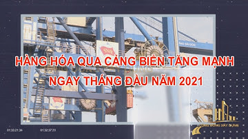 HÀNG HÓA QUA CẢNG BIỂN TĂNG MẠNH NGAY THÁNG ĐẦU NĂM 2021
