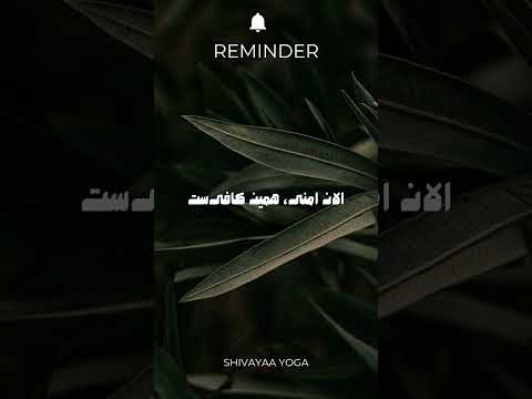 الان امنی | یه دقیقه برای آرامش✨ | مانترای روز چهارشنبه#یوگا #affirmations
