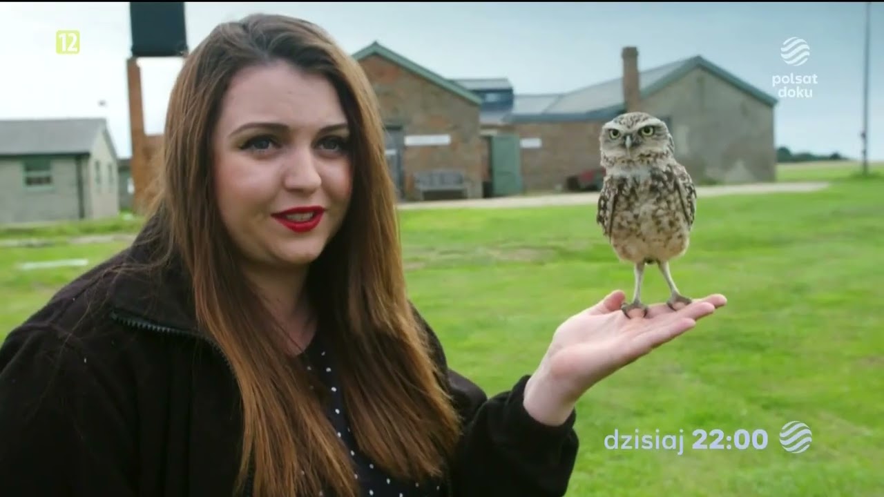 POLSATDOKU - 03-10-2022 - Reklamy, Ogłoszenia nadawcy, Ident, Ogłoszenia społeczne, Sponsorzy