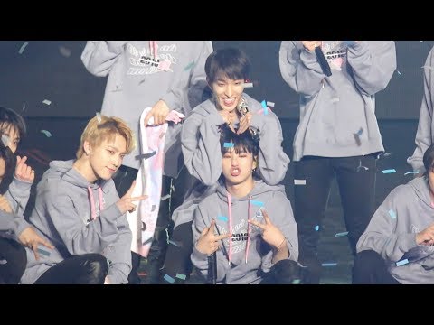 190308 190310 캐럿랜드 홀리데이 댄브 모음 