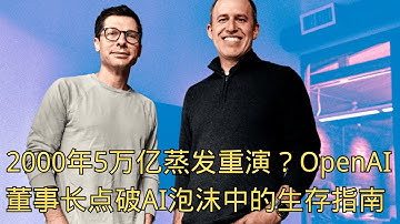 「2000年5万亿蒸发重演？OpenAI董事长点破AI泡沫中的生存指南」| 互联网泡沫 | 2025 | 幸存者 | 警告 | 泰勒