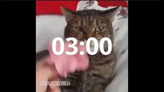 Cat Transcendence 3 Minute Timer Wealth
