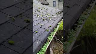 Guess who needs exterior cleaning?