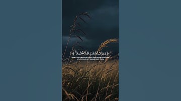 تلاوه خاشعة للقارئ فايح الحارثي ♥️🎧 #quran #اكسبلور#المصحف#لايك #راحة_نفسية #تلاوة_خاشعة #حالات_واتس