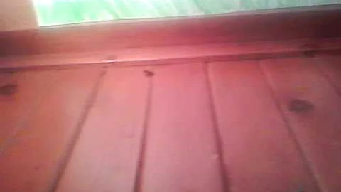 The game of life part 1