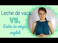 Leche vaca vs. leche de origen vegetal // NutriGami