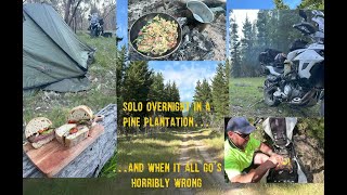 Solo Overnight In A Pine Plantation, And When It Go's Horribly Wrong!