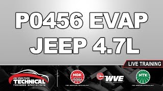 P0456 - Small EVAP Leak - Jeep 4.7L - ESIM System Diagnosis