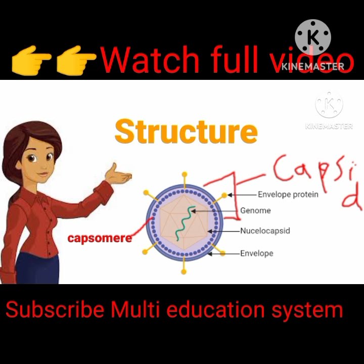 Structure Of Virus Virus By MES What Is Genome What Is structure-of-virus-virus-by-mes-what-is-genome-what-is