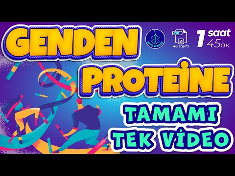 Genden Proteine Tekrar | TAMAMI TEK VİDEO | AYT Biyoloji Tekrar | 46 Sayfa PDF