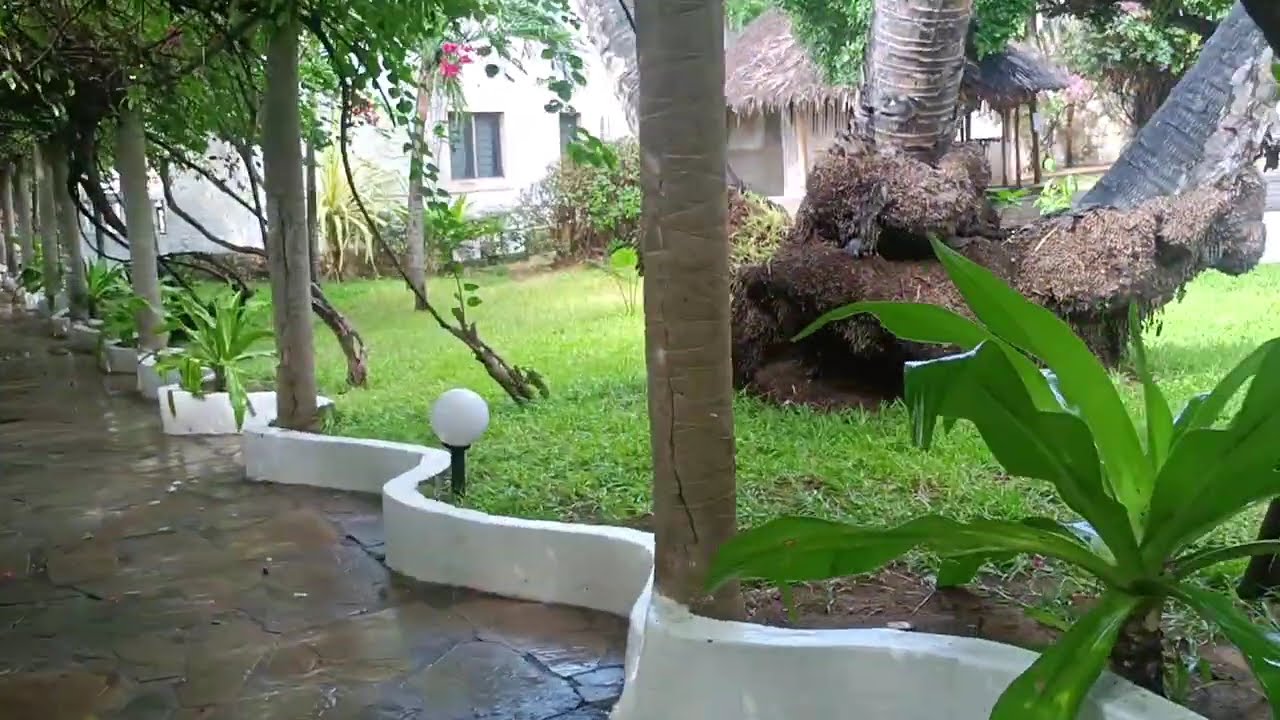 Tragitto dall' Aquarius Resort Watamu Kenya Ottobre 2025 alla spiaggia 