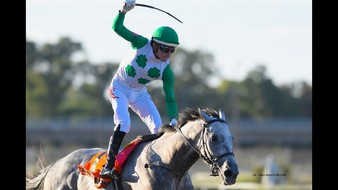 Gran Premio de Honor (G1) 2026 - Butterfing (Angiolo)