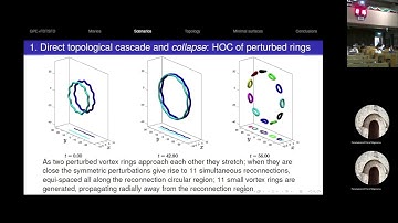 Evolution of quantum knots driven by minimal surfaces - Simone Zuccher