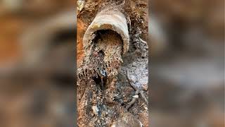 Top Plumbers Near Me: 24/7 Service & Repair in Yukon, OKC, Edmond & More | Pro-Rooter