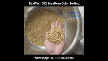 Small Soybean Color Sorting RealTech S32