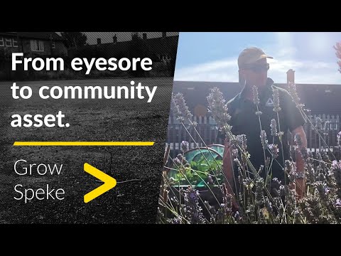 From eyesore to community hub: changing places and lives at Grow Speke community garden