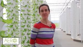 Aeroponic Soilless Growing Review AERO Development Corp - Hudson Valley Vertical Farms NY