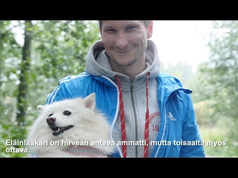 Video: Eläinlääkäri Vastaan eläinlääkäri