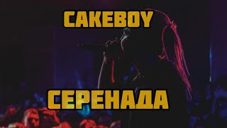 Cakeboy - Серенада