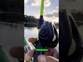Fishing Gone Wrong! Hooked 4 Times &amp; Slippery Fish! #shorts