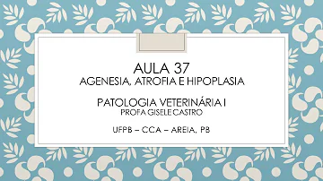Qual é a principal função de Cachoeiro de Itapemirim?