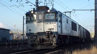 3095レ【EF64 1045号機】静岡貨物駅発車
