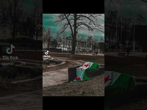 وينو حسن زميرة