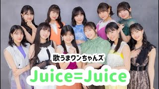 【ハロプロ】Juice=Juice メンバー紹介【布教用】