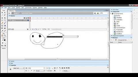 how to use MacroMedia Flash Player MX 2004