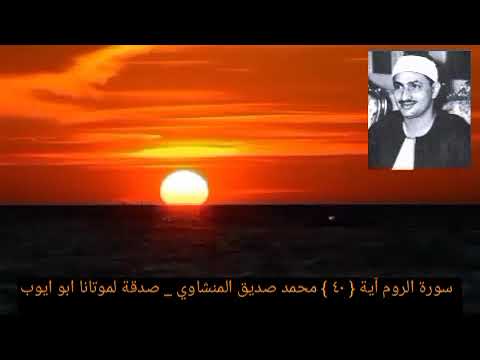 الله الذي خلقكم ثم رزقكم ثم يميتكم ثم يحييكم سورة الروم آية ٤٠ المنشاوي 