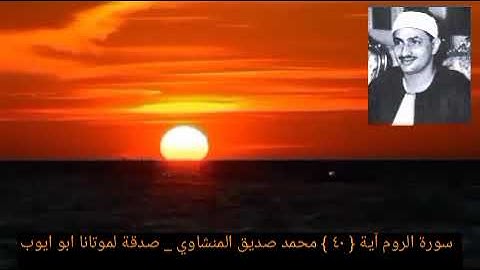 الله الذي خلقكم ثم رزقكم ثم يميتكم ثم يحييكم _ سورة الروم آية { ٤٠ } المنشاوي