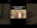 沖縄のゴミだらけの砂浜から大量のお宝が…！