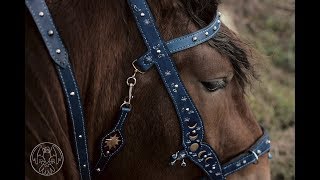 How-to-craft a fantasy bridle for a horse
