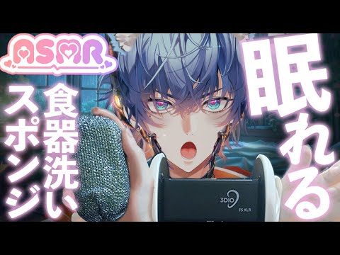 【ASMR】食器洗いスポンジのくしゅくしゅ音🧽泡立ちと摩擦音で脳がとろける Dish Sponge Scrubbing Sounds 🧽 Deep Crinkle & Foam for Sleep