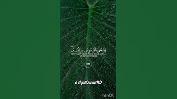 تلاوة خاشعة تريح القلب.#قرآن #تلاوة_خاشعة #المصحف #tilawati354 #اكسبلور
