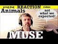 React to Muse | Animals