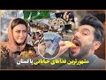 مشهور ترین غذاهای خیابانی پاکستان پول کم غذاهای متنوع 