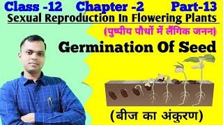 Germination Of Seed Class 12 | बीजों में अंकुरण