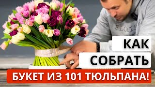 :      101    !    .