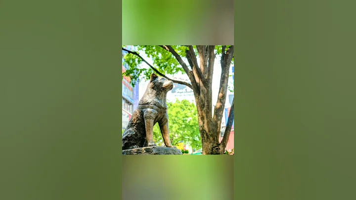 Hachiko The Faithful Dog
